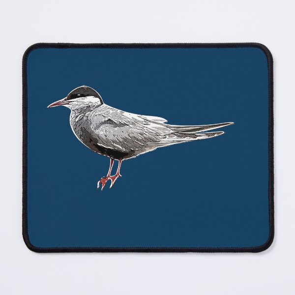 Item preview, Whiskered Marsh Tern White Alternate Design  designed and sold by designsasstultd.