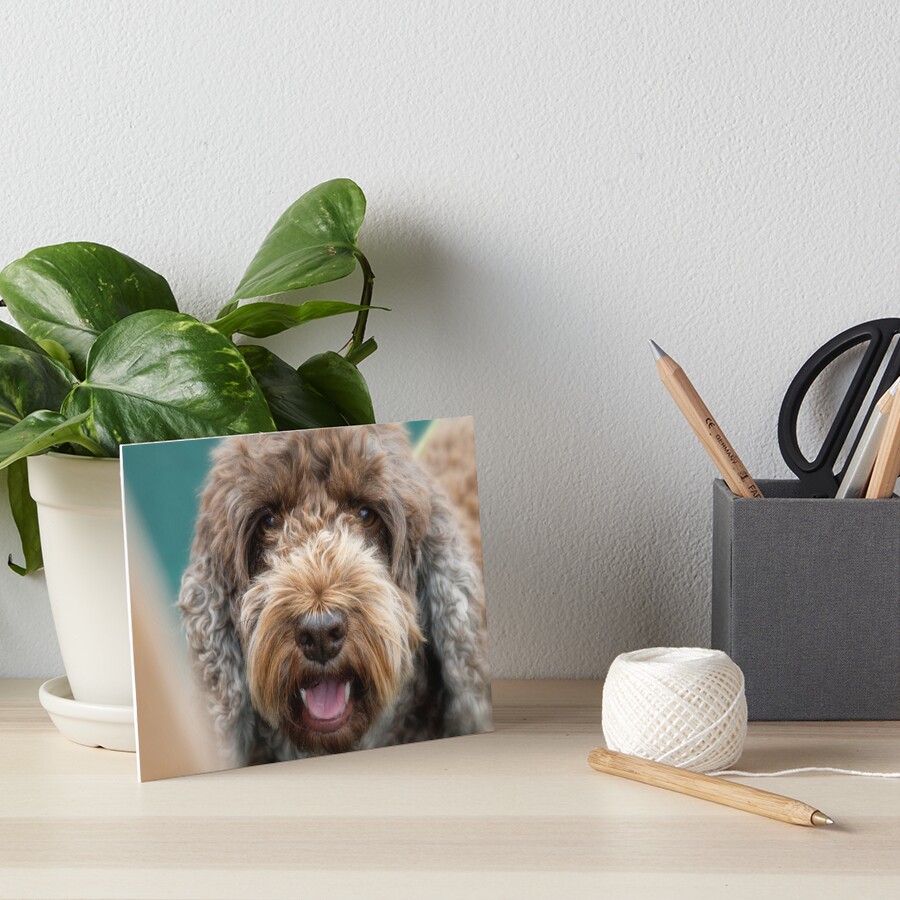 Item preview, Art Board Print designed and sold by heidipics.