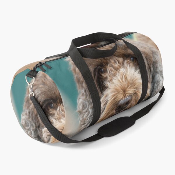 Artikelvorschau, Cockapoo entworfen und verkauft von heidipics.