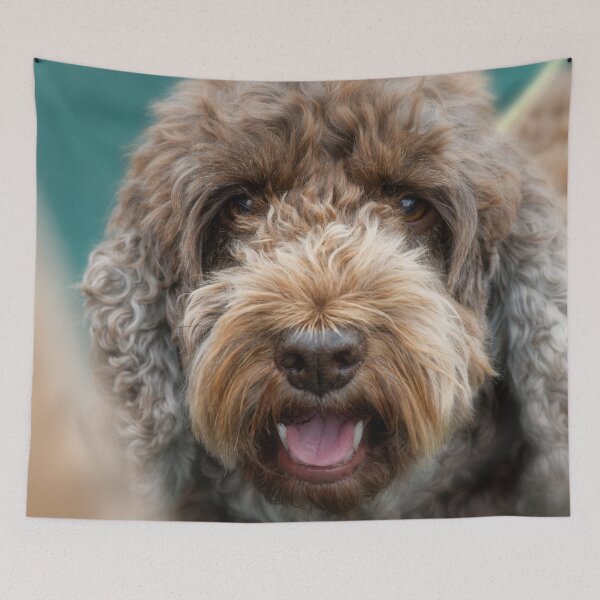 Item preview, Cockapoo designed and sold by heidipics.