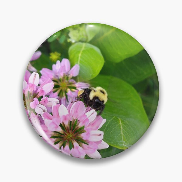 Item preview, Bumble Bee on Pink Crown Vetch designed and sold by SCTBUFFALOPHOTO.