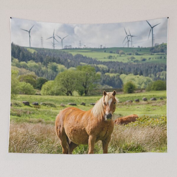 Item preview, Llantrisant Common Horse designed and sold by heidipics.