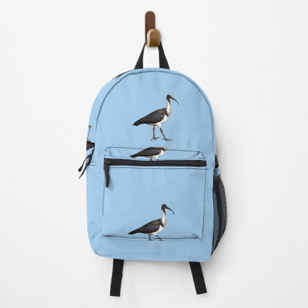 Item preview, Straw-necked Ibis Color Design  designed and sold by designsasstultd.