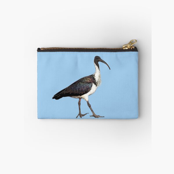 Item preview, Straw-necked Ibis Color Design  designed and sold by designsasstultd.