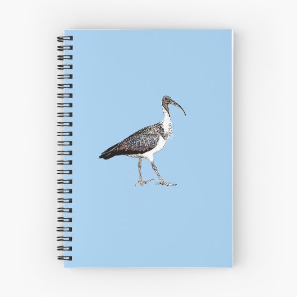 Item preview, Straw-necked Ibis Black Alternate Design  designed and sold by designsasstultd.