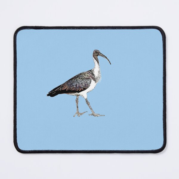 Item preview, Straw-necked Ibis Black Alternate Design designed and sold by designsasstultd.