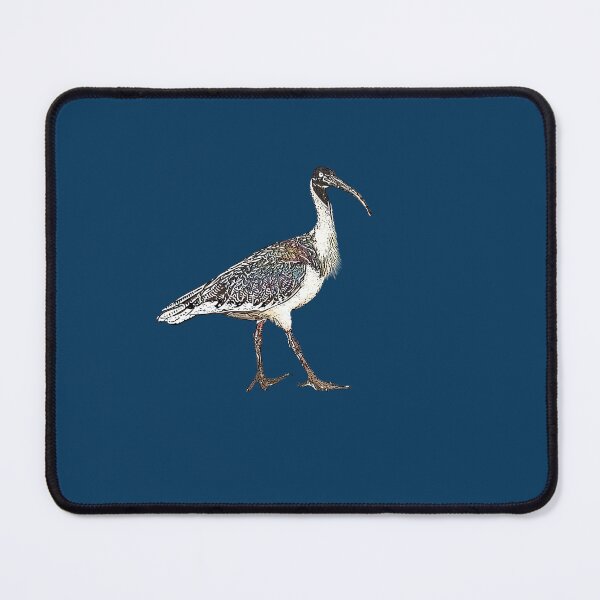 Item preview, Straw-necked Ibis White Alternate Design  designed and sold by designsasstultd.