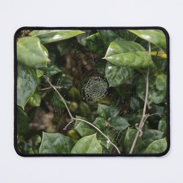 Item preview, Spooder Web designed and sold by MegsMothyCabin.