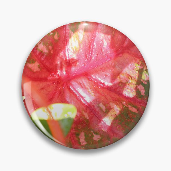 Item preview, Caladium designed and sold by matthewsimon1.