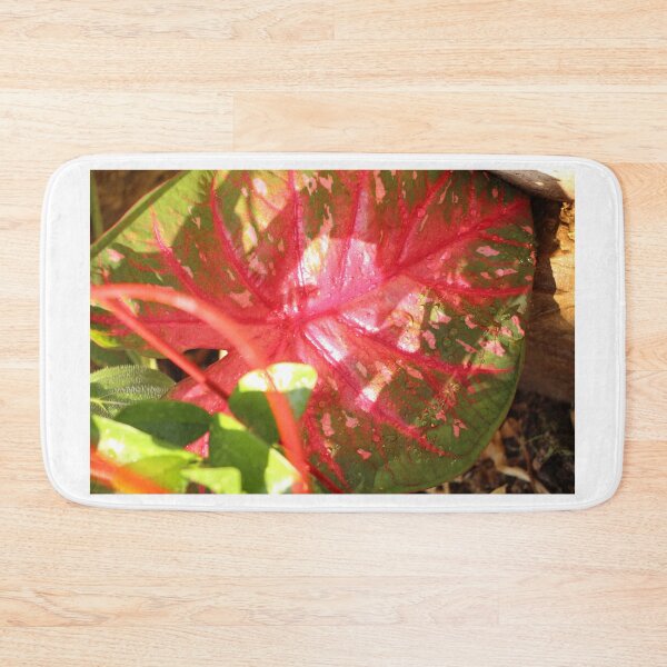 Item preview, Caladium designed and sold by matthewsimon1.
