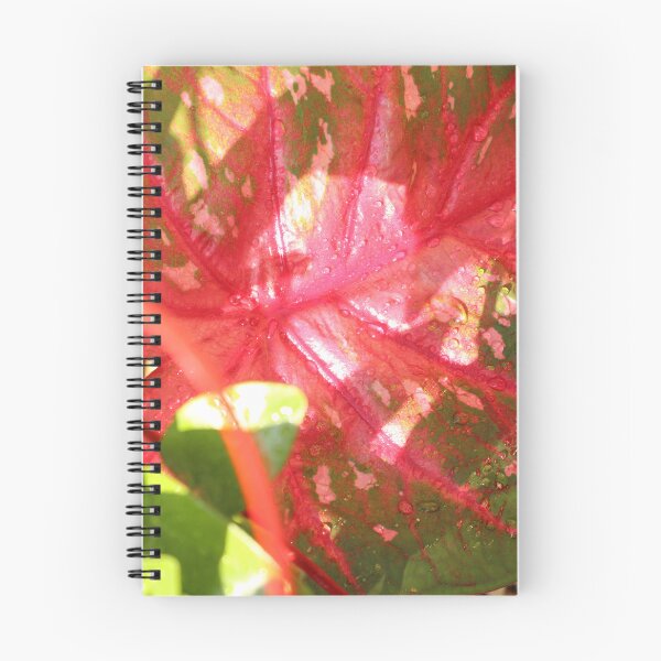 Item preview, Caladium designed and sold by matthewsimon1.