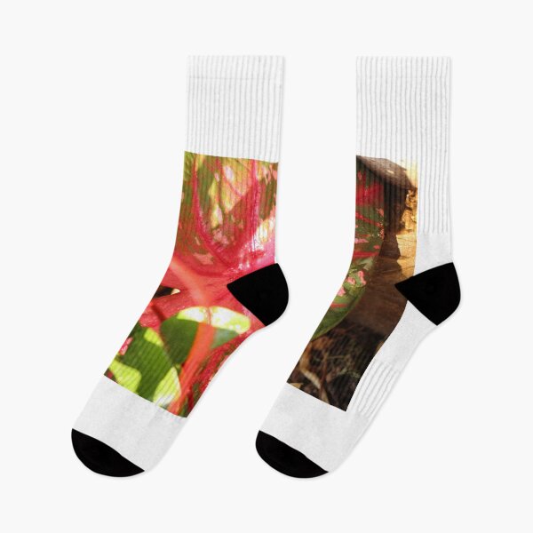 Item preview, Caladium designed and sold by matthewsimon1.