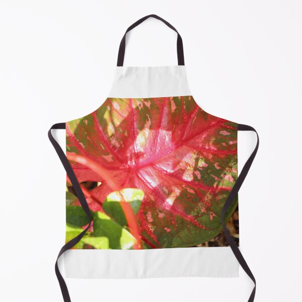 Item preview, Caladium designed and sold by matthewsimon1.