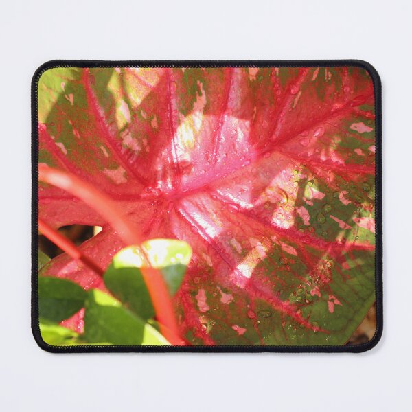 Item preview, Caladium designed and sold by matthewsimon1.