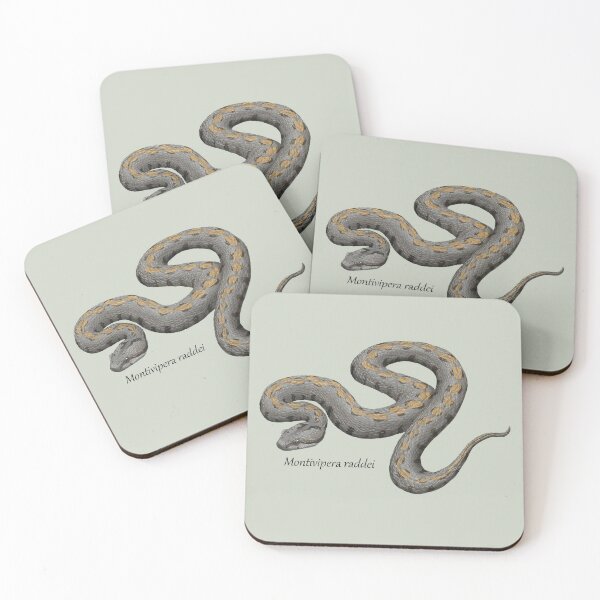 Item preview, Montivipera raddei - Armenian Viper designed and sold by ArtByBreah.