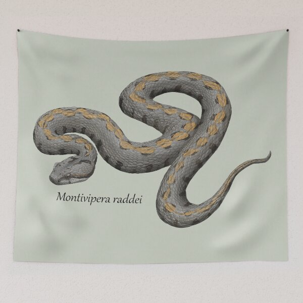 Item preview, Montivipera raddei - Armenian Viper designed and sold by ArtByBreah.