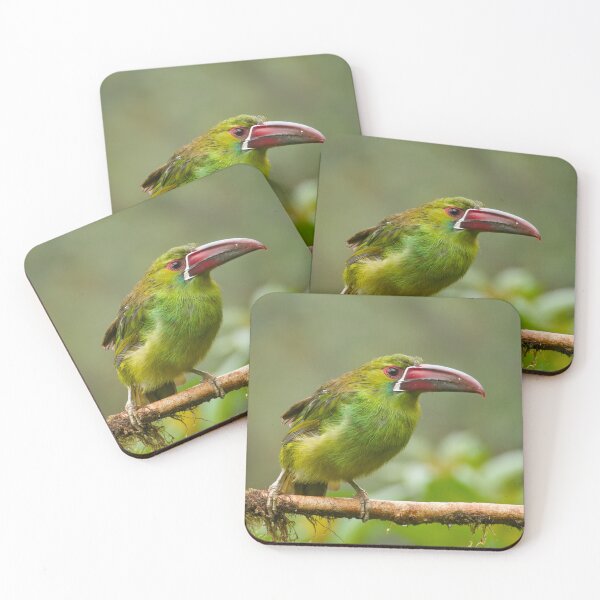 Item preview, CRIMSON-RUMPED TOUCANET 2 designed and sold by adumont1.