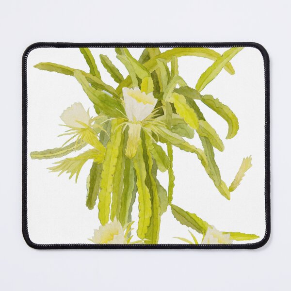 Item preview, Dragonfruit Plant Watercolour designed and sold by LaniMaeCreative.
