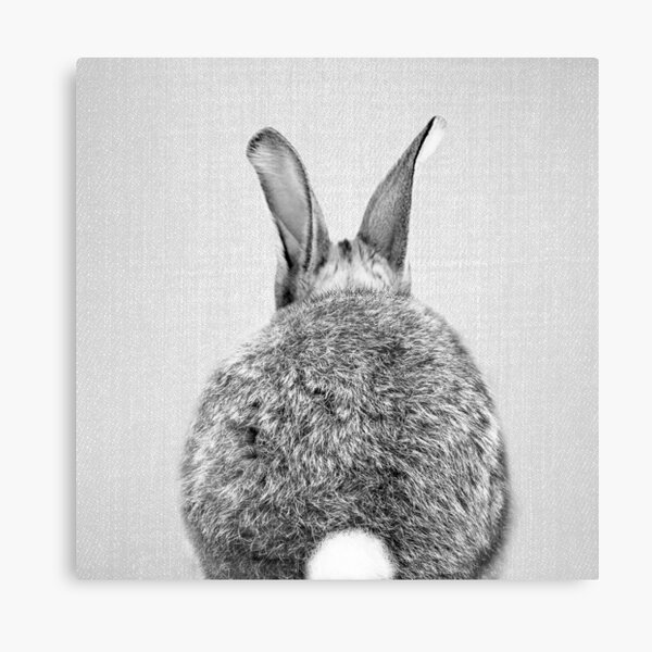 Item preview, Rabbit Tail - Black & White designed and sold by galdesign.