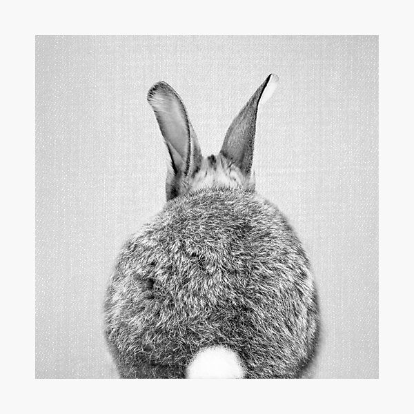 Rabbit Tail - Black & White Photographic Print