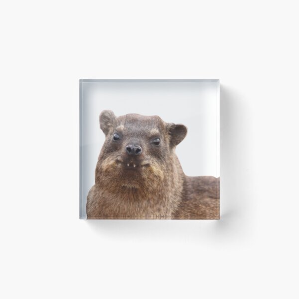 Item preview, Hyrax  designed and sold by SillyLittleSnek.
