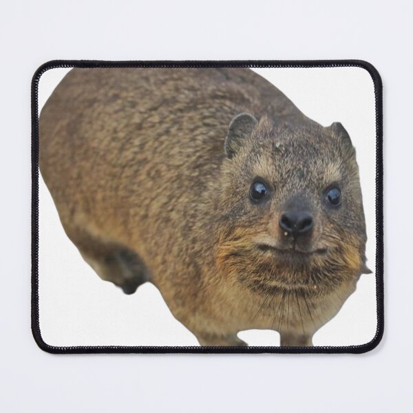 Item preview, Rock hyrax adorable designed and sold by SillyLittleSnek.