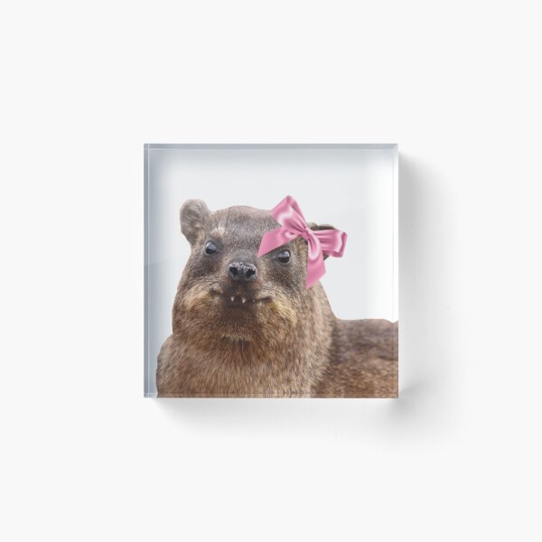 Item preview, Cute rock hyrax wearing bow  designed and sold by SillyLittleSnek.