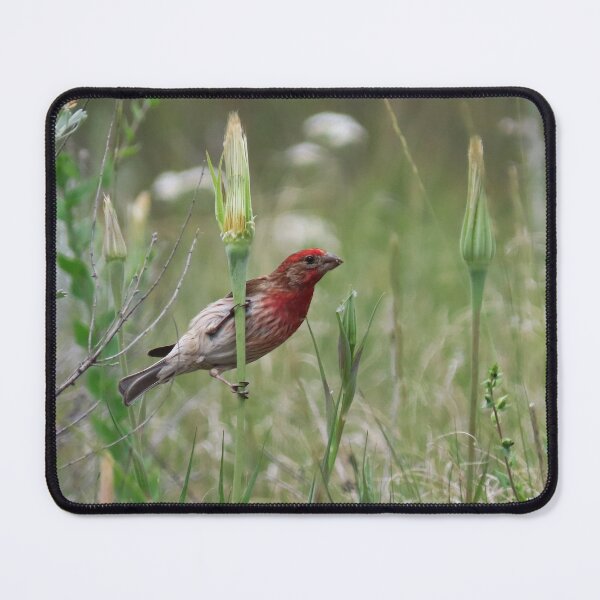 Item preview, House Sparrow designed and sold by DigitalGen.