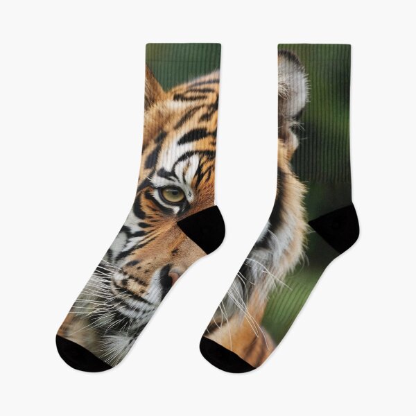 Item preview, Stunning Bengal tiger photo designed and sold by dcrc.