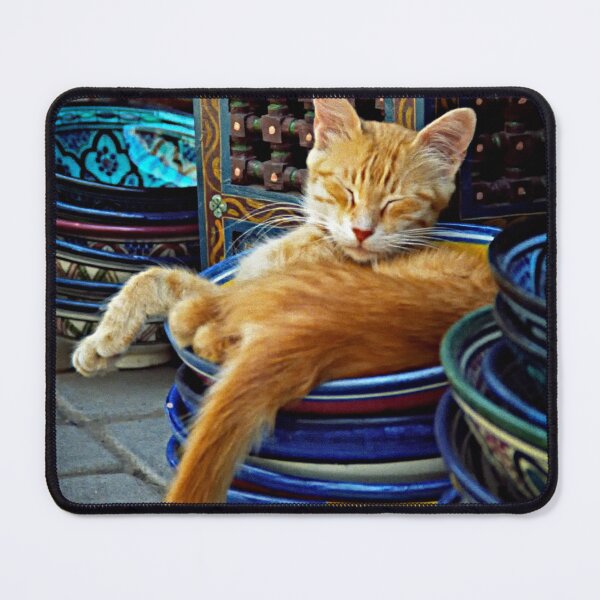 Item preview, 'Marrakesh Kat' designed and sold by Lidia D'Opera Photographer.