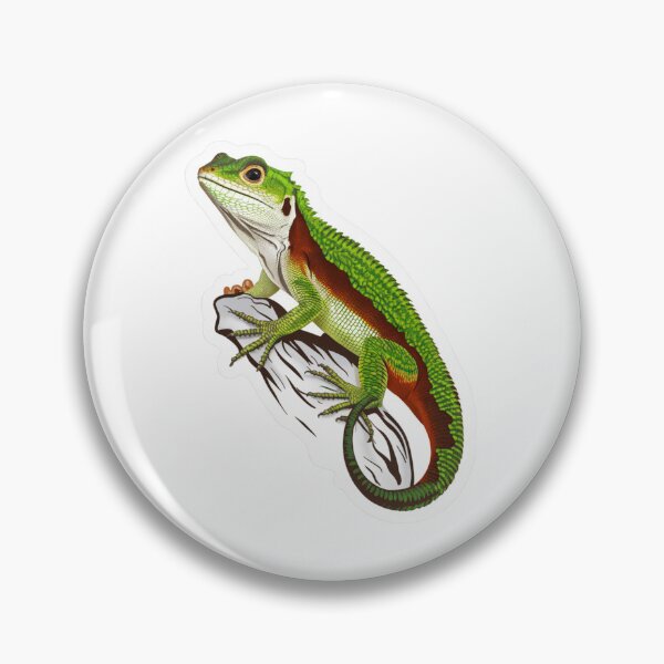 Artikelvorschau, Grüne Anolis entworfen und verkauft von Peter Stawicki.