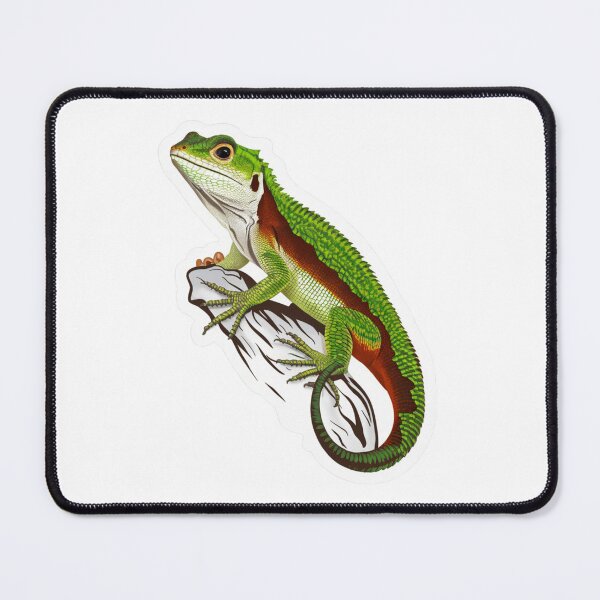 Item preview, Green Anole Lizard designed and sold by Peter Stawicki.