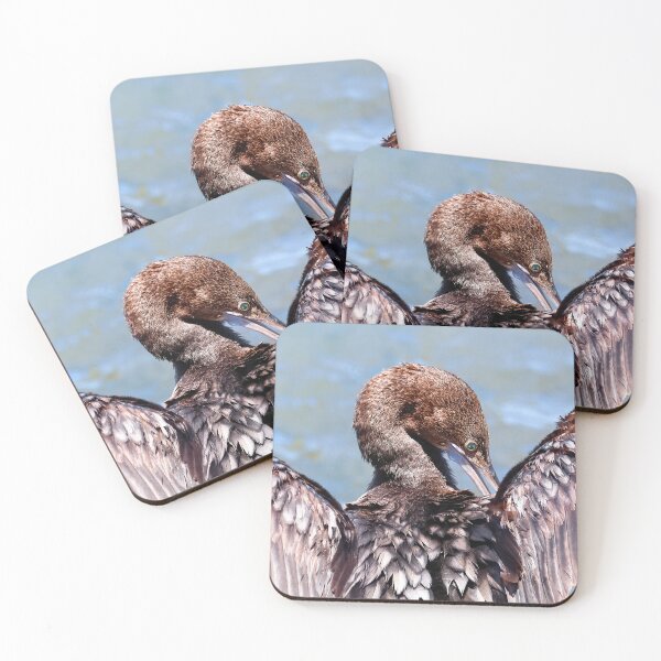 Item preview, Australian Little Darter Bird 672 designed and sold by kevin Chippindall.