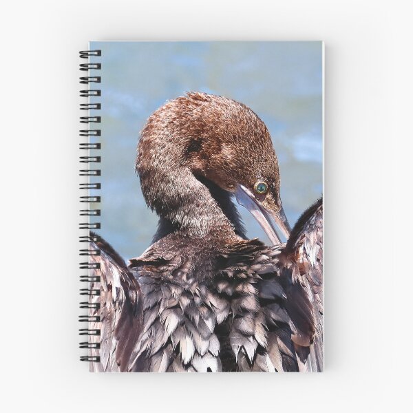 Item preview, Australian Little Darter Bird 672 designed and sold by kevin Chippindall.