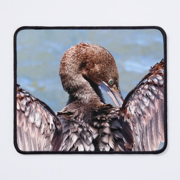 Item preview, Australian Little Darter Bird 672 designed and sold by kevin Chippindall.