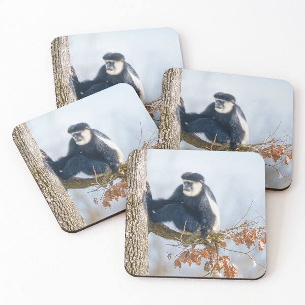 Item preview, Colobus Monkey in the Canopy designed and sold by rawshutterbug.