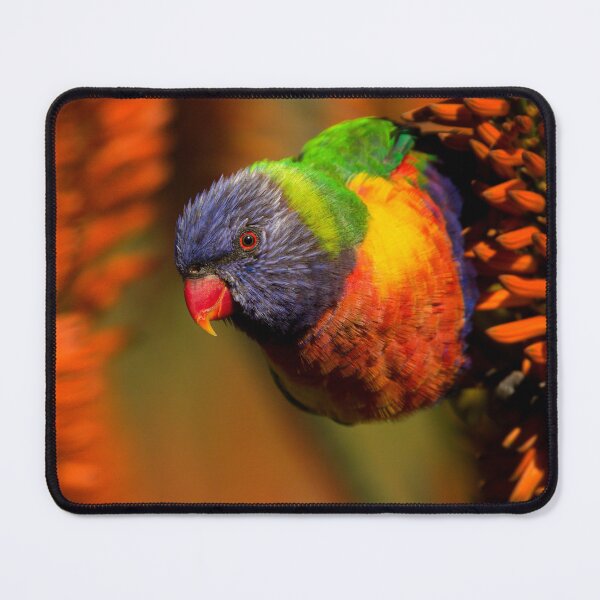Item preview, The Fire And The Rainbow designed and sold by CBoyle.