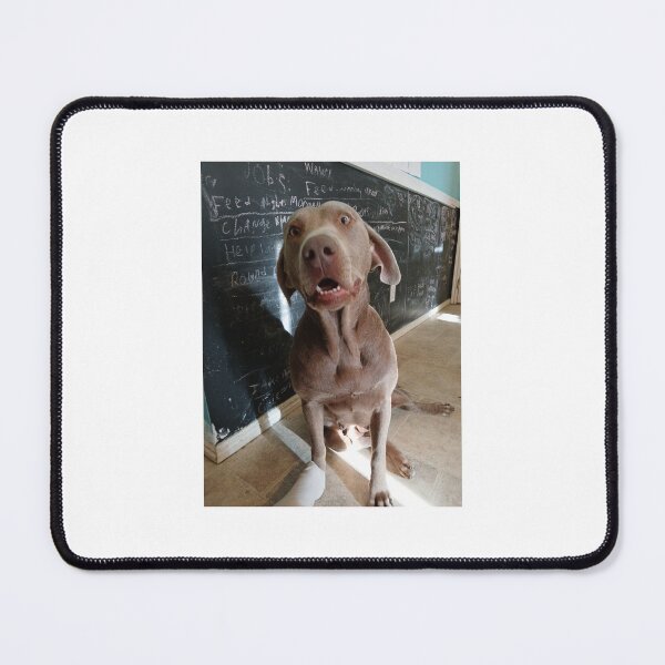 Item preview, Cute Labrador Dog! designed and sold by Masonscape.