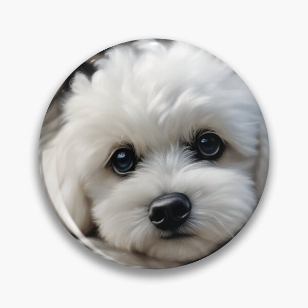 Item preview, Tangled Up Bichon Frise Puppy! designed and sold by Annabelly321.