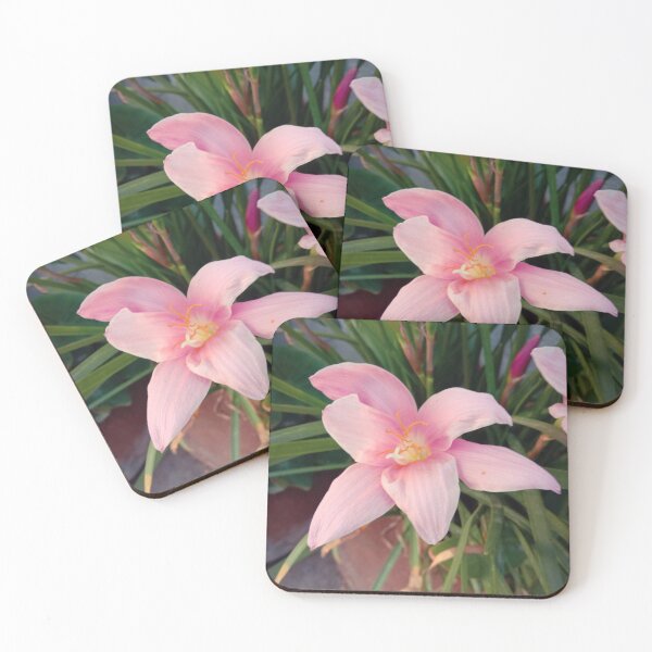 Item preview, pink rain lily designed and sold by hutofdesigns.