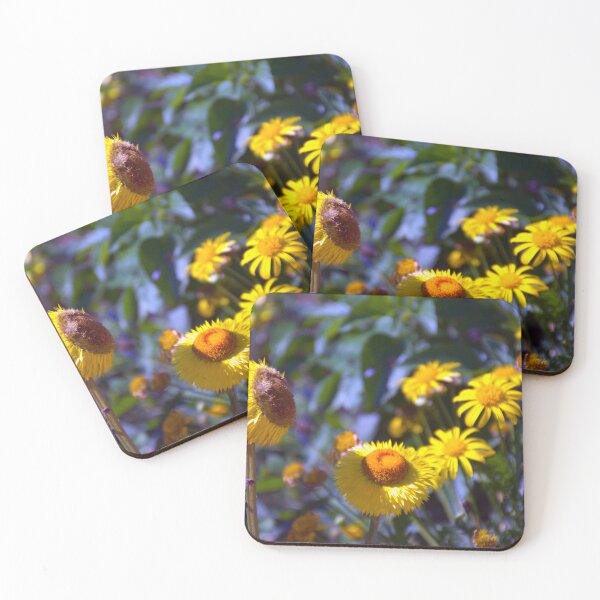 Item preview, Wildflowers designed and sold by MercerImages.