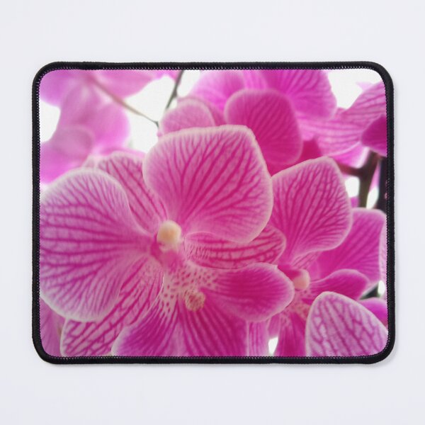 Item preview, Beautiful Orchids designed and sold by Dreammkd.
