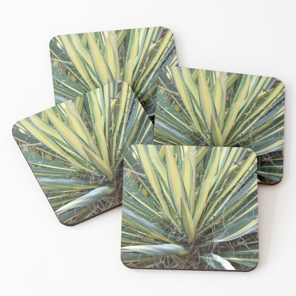 Item preview, Yucca Plant designed and sold by bertsworks300.