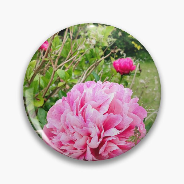 Item preview, Peonies in Doulting designed and sold by JonDelorme.