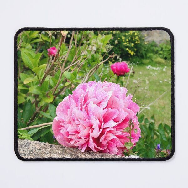 Item preview, Peonies in Doulting designed and sold by JonDelorme.
