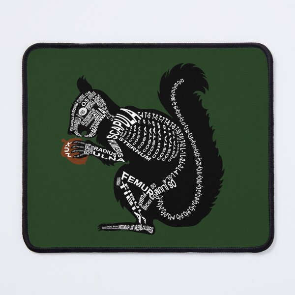 Item preview, Squirrel Skeleton designed and sold by WortAnatomie.