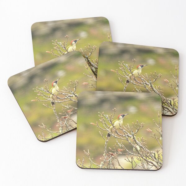Item preview, green woodpecker  designed and sold by TheoPhotoraphy.