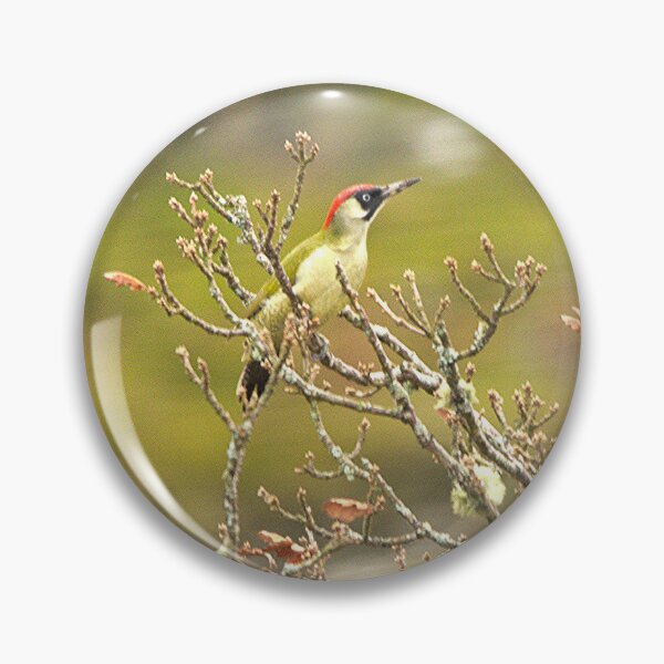 Item preview, green woodpecker  designed and sold by TheoPhotoraphy.