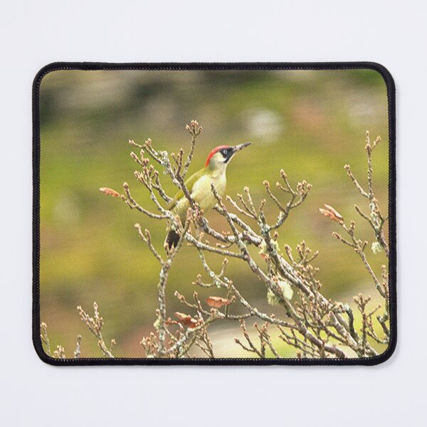 Item preview, green woodpecker designed and sold by TheoPhotoraphy.