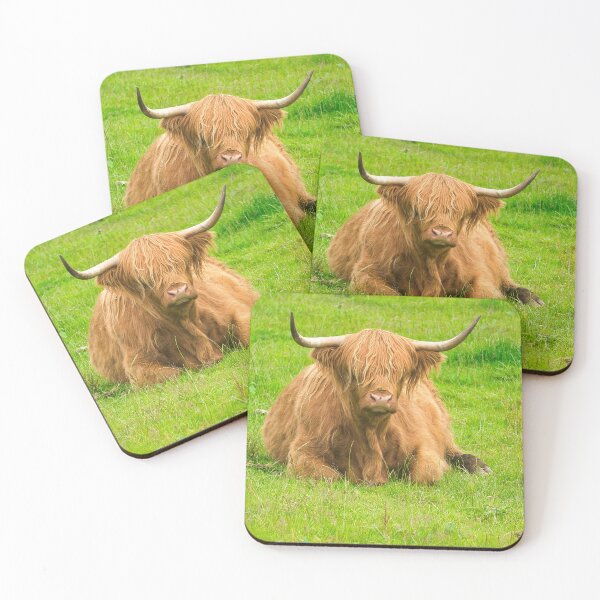 Item preview, highland Cow  designed and sold by TheoPhotoraphy.